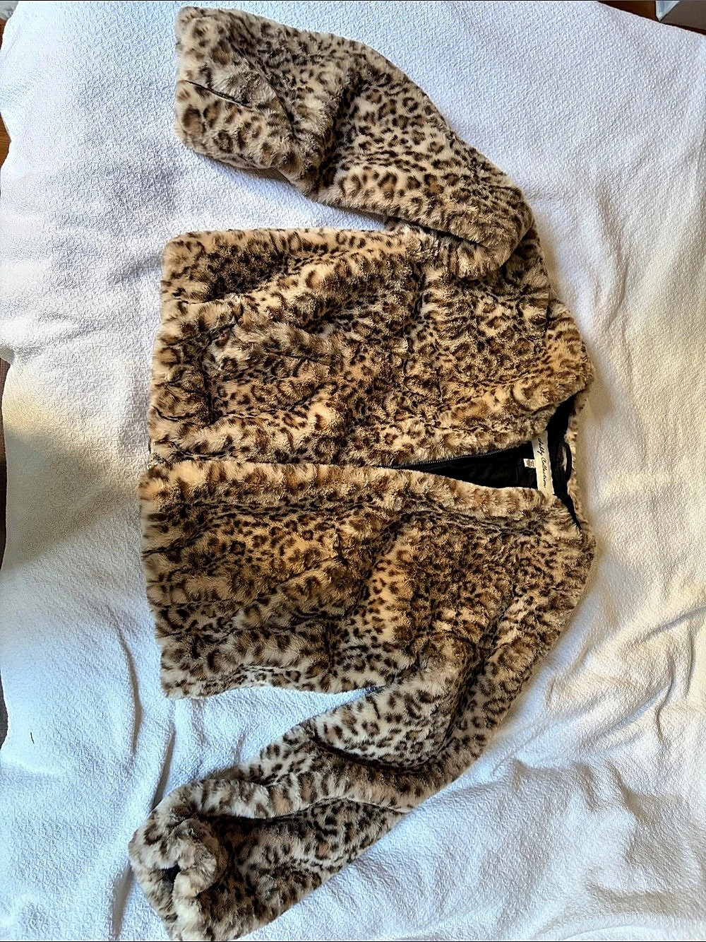 Lolly Collection Animal Print Jacket in Brown Size Large